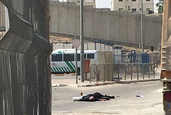 وزارة الإعلام: إعدام الشقيقين طه بدم بارد تعد جريمة وحشية