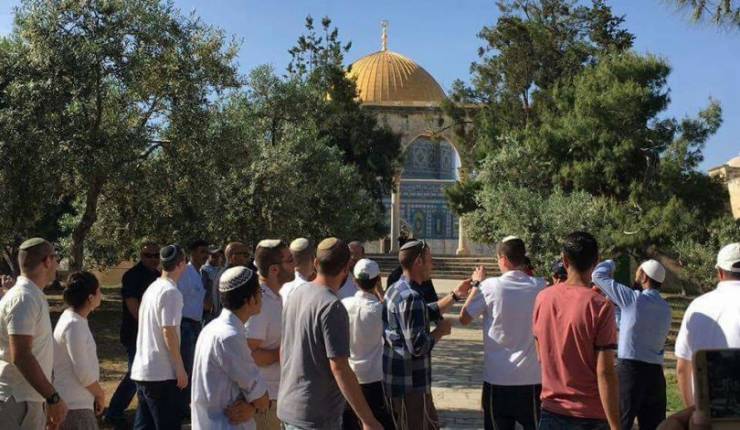 دعوات متطرفة لاستباحة الأقصى وإدخال "الشمعدان" في عيد "الحانوكاة"