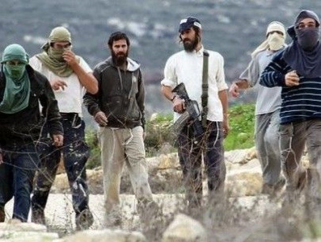 مستوطنون يمارسون أعمال عربدة في جنين