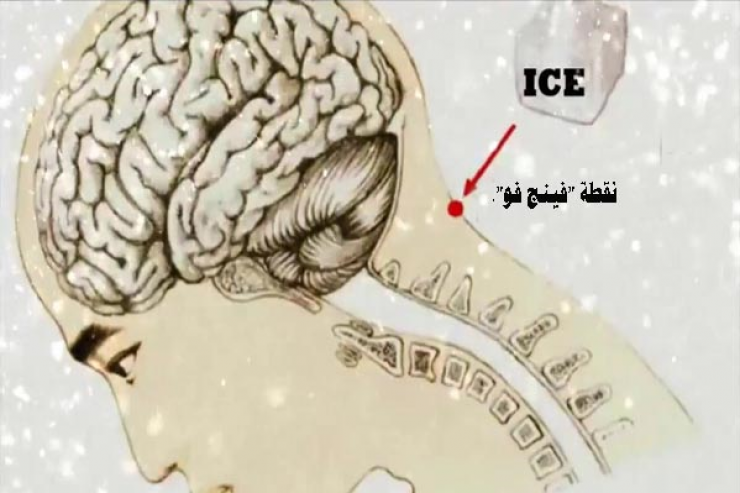 بالفيديو : هذا ما سيحدث لك إذا وضعت مكعب الثلج على هذه النقطة من رأسك
