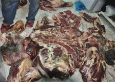 الاقتصاد تضبط 70 كيلو لحوم فاسدة بأشهر مطاعم غزة