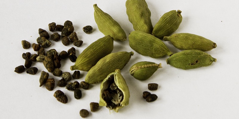 البحث عن الحقيقة يقودني إلى اكتشاف حقيقة خطر الهيل