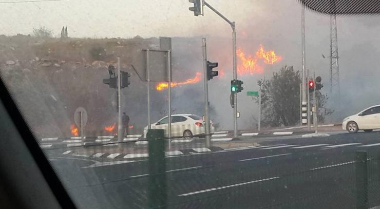 بالفيديو والصور...إتساع رقعة الحرائق في إسرائيل..ونتنياهو يرجح أنها بفعل فاعل