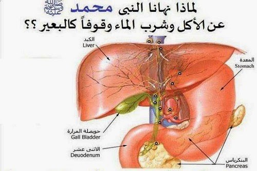 لماذا نهى الرسول عن الشرب والاكل قائما ؟