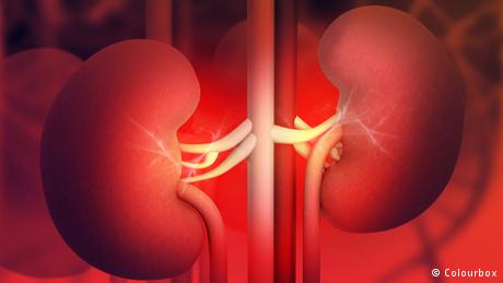 أجزاء في جسم الانسان فقدت وظائفها