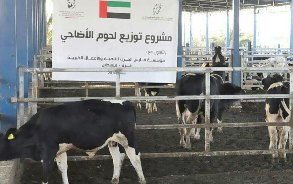 فارس العرب تطلق مشروع الأضاحي  لعام 2016