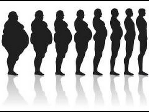 من أكثر ذكاء .. البدناء أم النحفاء؟!