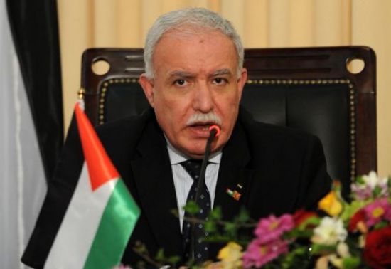 المالكي : الأفكار المصرية لا تتعارض مع المبادرة الفرنسية