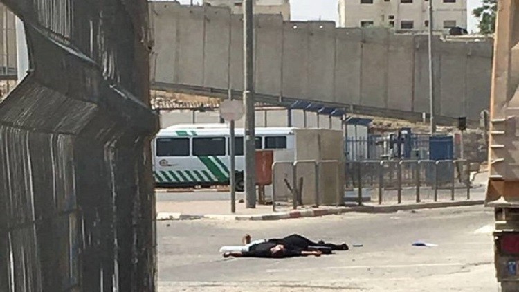 الاحتلال يغلق التحقيق حول استشهاد الشقيقين "أبو طه"