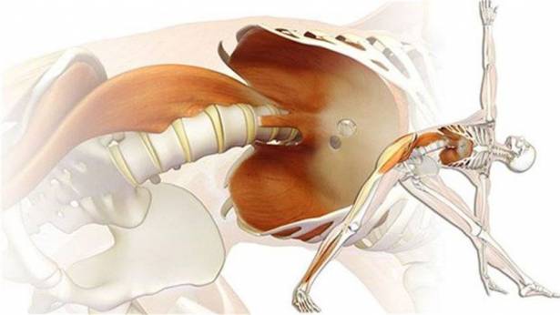 "عضلة الروح" في جسدكم هي مصدر القلق والخوف.. كيف تمرنونها لتشفيكم؟