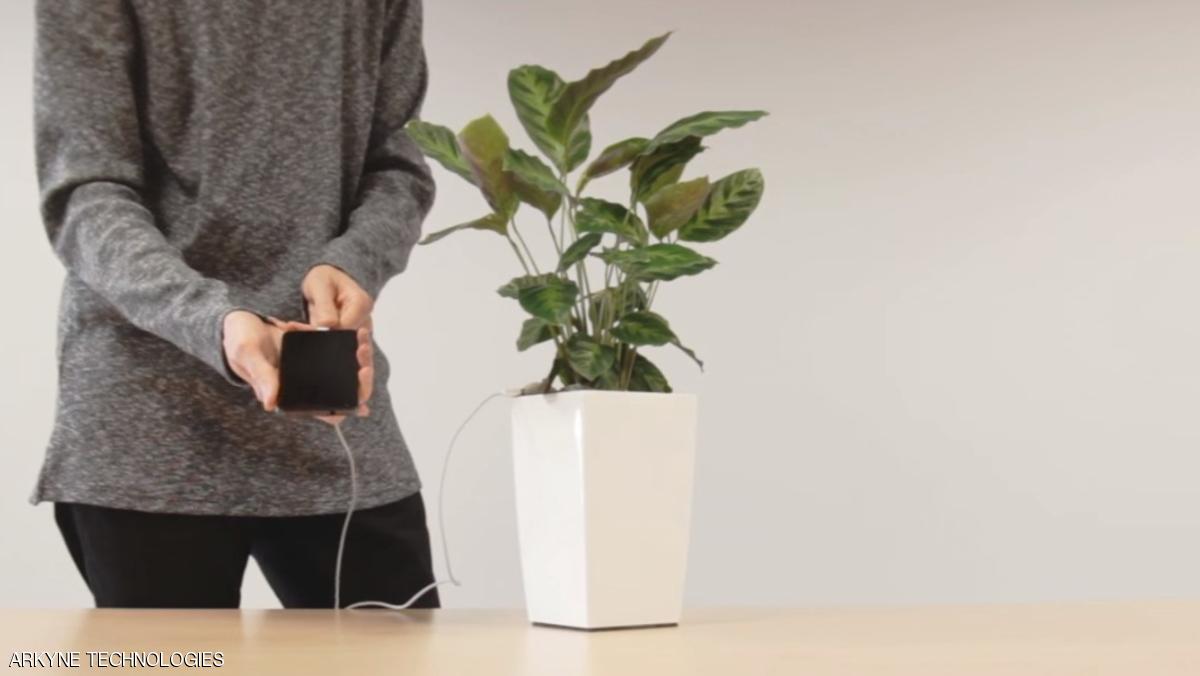 استخدام النباتات كمصدر جديد في شحن الأجهزة الإلكترونية