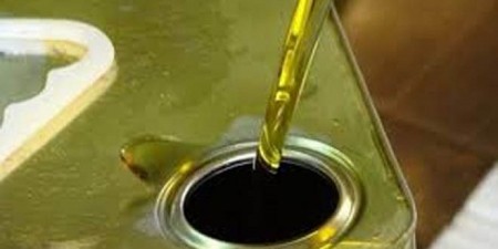 توقعات بإنتاج 1400 طن زيت زيتون في قلقيلية هذا العام