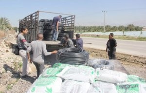 العمل الزراعي ينهي توزيع مستلزمات 40 حديقة منزلية في مدينة سلفيت