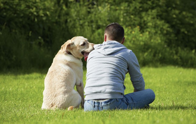 بالفيديو والصور: كلبة تعتني "بتلميذة" مدرسة في حالة فريدة