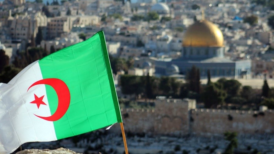 بالصور: الشعب الجزائري الشقيق يُترجم حبه لفلسطين بتسليط الضوء على معاناة شعبها