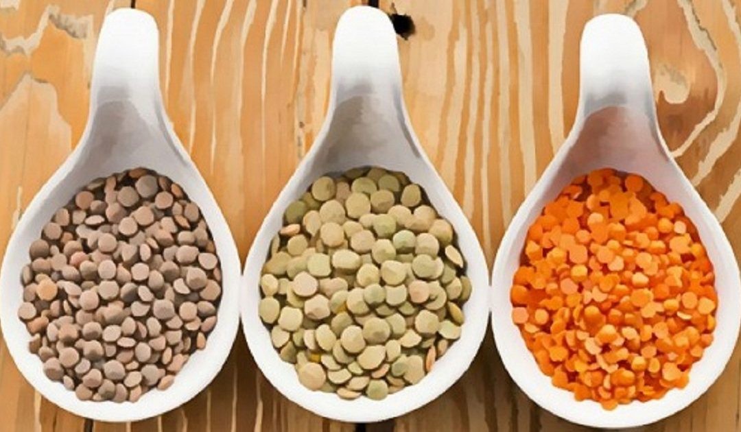"لحم الفقراء" فوائد مذهلة للعدس بأنواعه