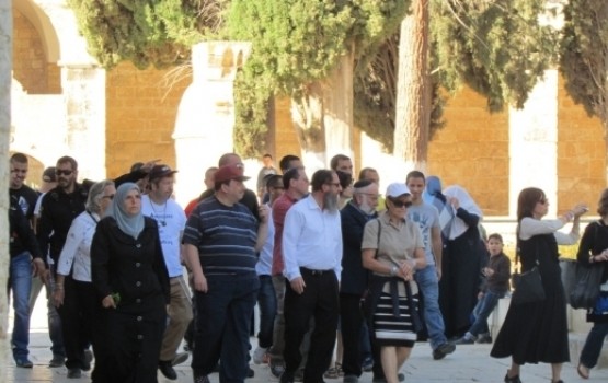 مئات المستوطنين يقتحمون موقعًا أثريًا في قرية الجب بالقدس