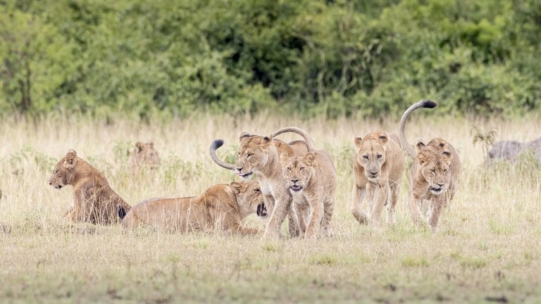 قطرة عين بـ4 مليارات إسترليني تربك أحد أشهر متاجر بريطانيا