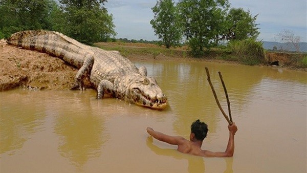 شاهدوا بالفيديو: لحظات مرعبة لرجل يقبض على تمساح بيديه العاريتين!