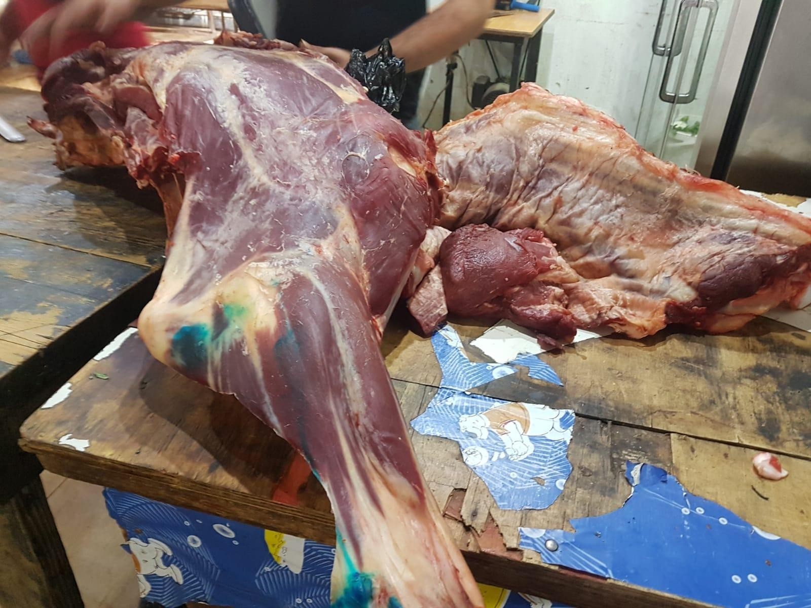 إتلاف نصف طن من اللحوم الفاسدة في غزّة