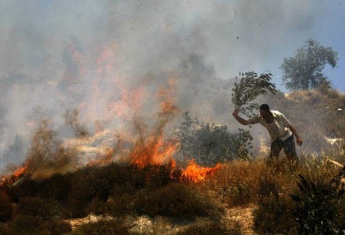 مستوطنون يضرمون النار بحقول زراعية في قرية جالود جنوب نابلس