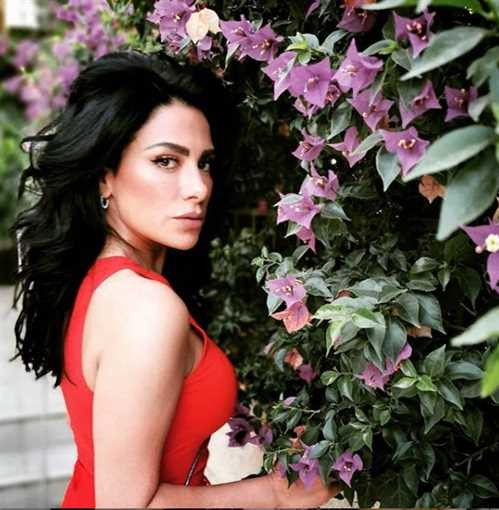 شاهدوا: رشاقة منة فضالي وفستان مايا دياب الشفاف ومرض سالي عبد السلام