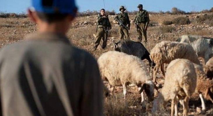الاحتلال يعتقل مزارعًا ويستولي على جراره الزراعي جنوب جنين