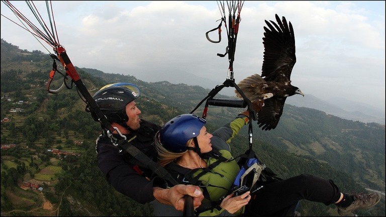 شاهد: فيديو صادم لـ"طائرة شراعية" ترتطم بسيارة لكزس!