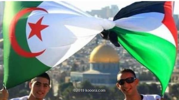 أفراح فلسطينية بتأهل الجزائر إلى نهائي أفريقيا