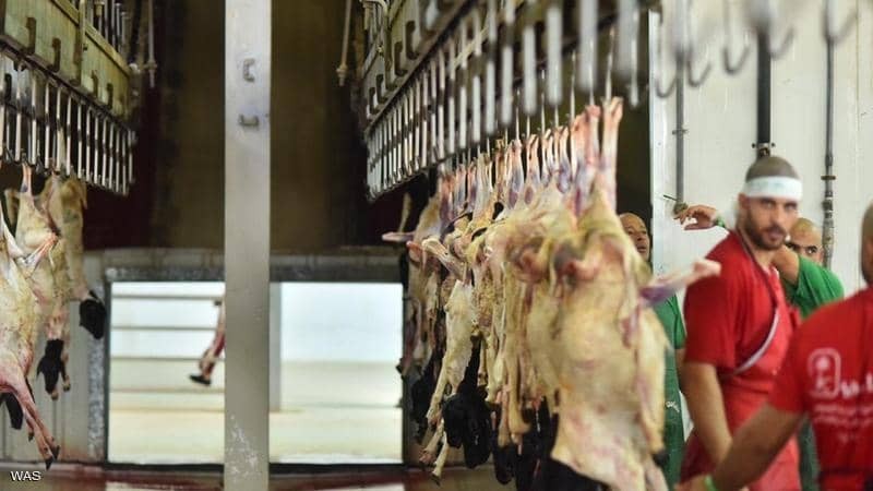 السعودية: 84 ساعة عمل متواصلة لذبح أكثر من مليون أضحية