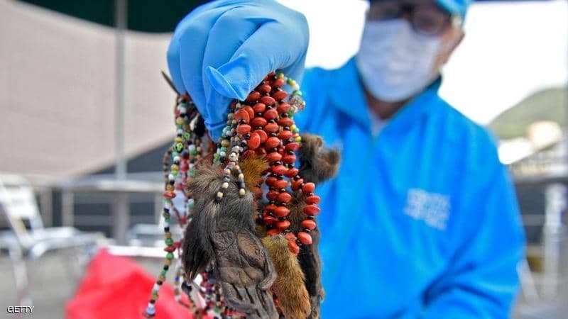 ألف حيوان ضحية "الشعوذة" في كولومبيا