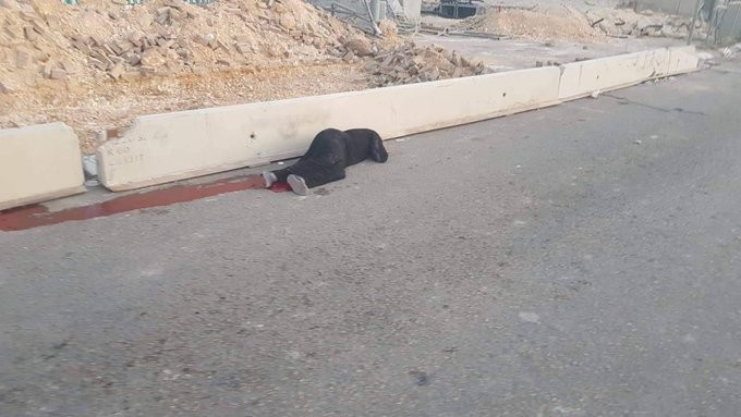 استشهاد فلسطينية برصاص جيش الاحتلال قرب حاجز قلنديا شمال القدس