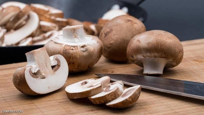 علماء: تكشف أهمية "الفطر" في القضاء على السرطان