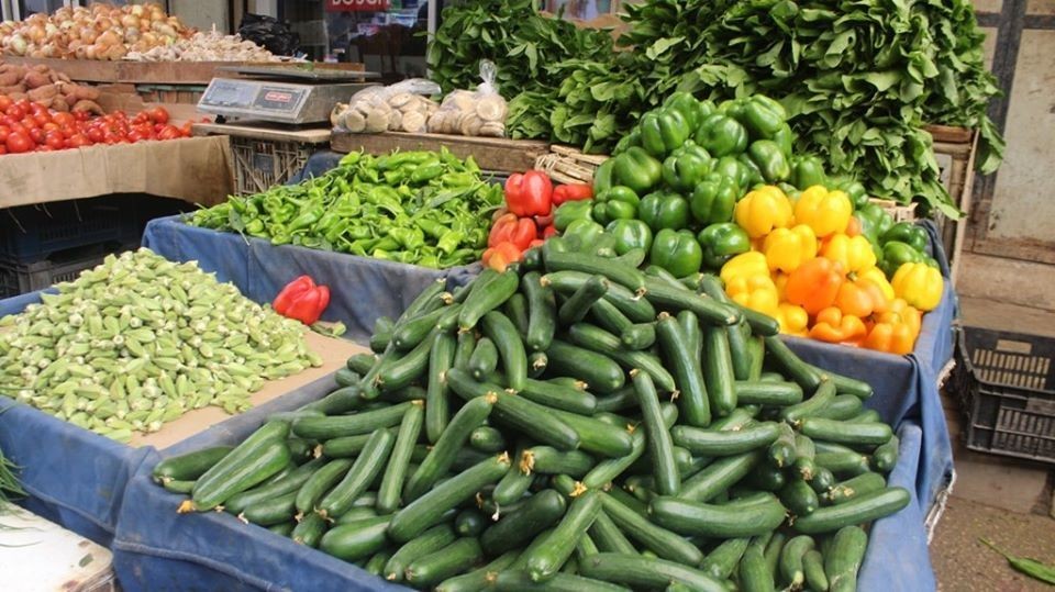 زراعة غزة توضّح أسباب ارتفاع أسعار بعض أصناف الخضروات