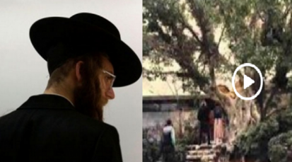 بالفيديو :  "الشجرة" التي يختبئ ورائها "اليهود" آخر الزمان