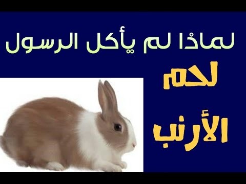 معلومه اول مره تعرفها