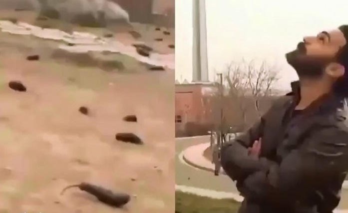 بالفيديو والصور: سماء "تمطر باذنجان" في إيران