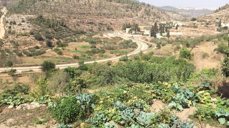 شؤون الكنائس تدعو لوقف اعتداءات الاحتلال على منطقة المخرور