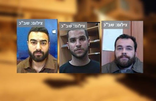 "من جامعة بيرزيت"
