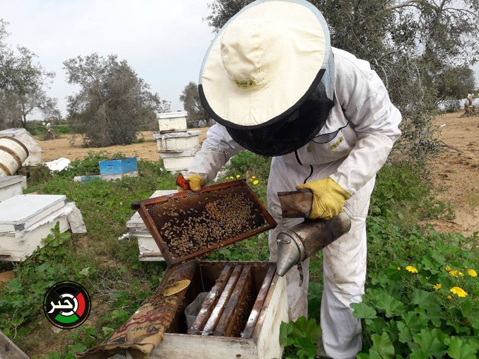 بعيداً عن كورونا