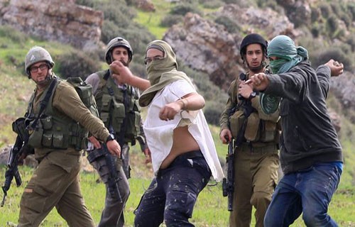 المستوطنون يصعّدون اعتداءاتهم على الفلسطينيين