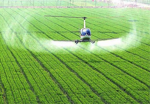 ما مدى تأثير فيروس "كورونا" على المنتجات الزراعية في الصين؟