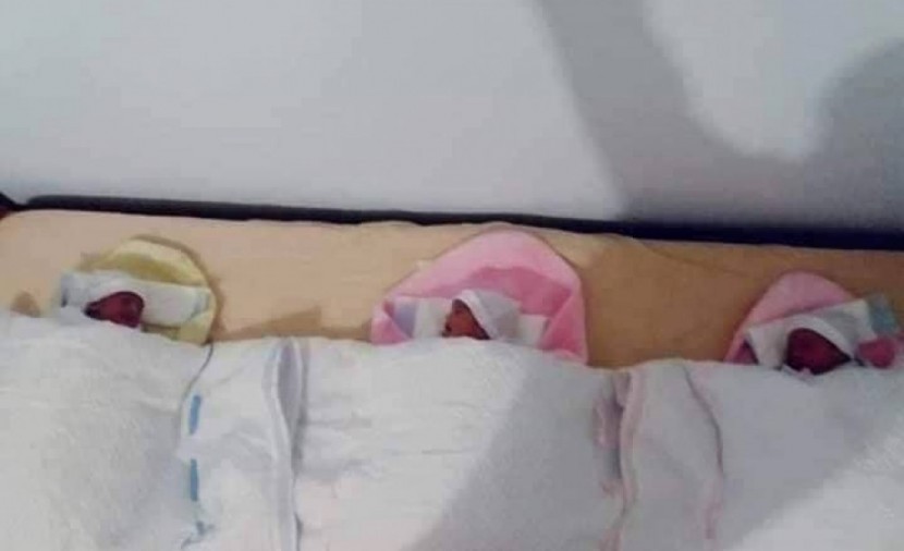 التنمية بغزة تُقدم مساعدة مالية لـ41 أسرة لديها 3 توائم فأكثر