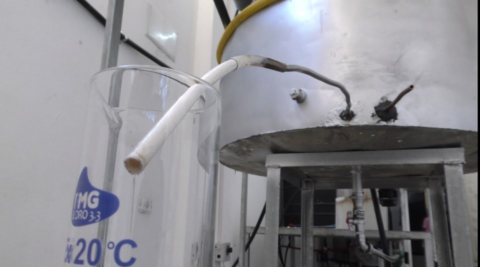 في ظل جائحة كورونا