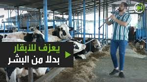 شاهد بالفيديو: يعزف للبقر بدلا من البشر