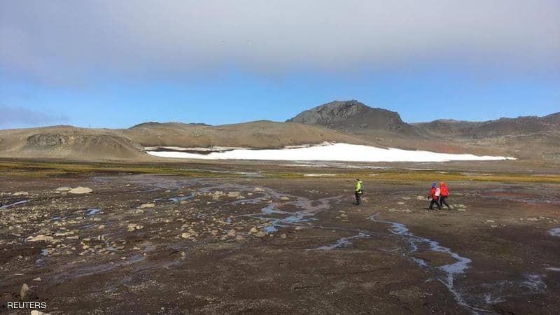 قارة وحيدة لم يصلها "فيروس كورونا".. تعرف إلى أكثر بقاع الأرض أمانا