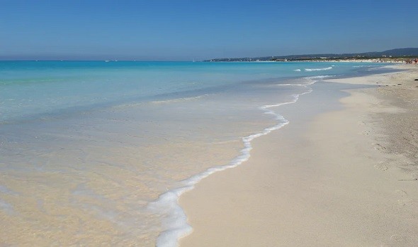 بالصور: شواطئ "نيوزيلندا" تتحول إلى "الأحمر الدموي" في مشهد لا يصدق