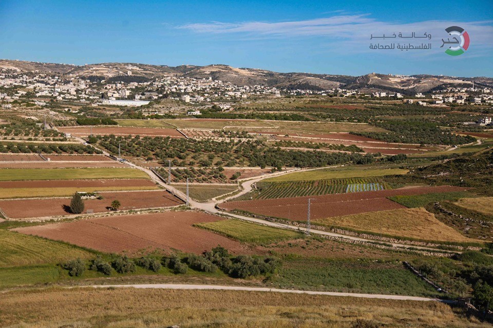 شاهد: عدسة وكالة خبر ترصد جمال الطبيعة في حقول غرب الخليل