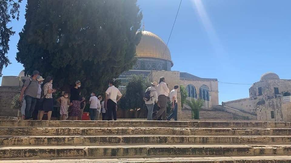 عشرات المستوطنين يدنِّسون باحات المسجد الأقصى