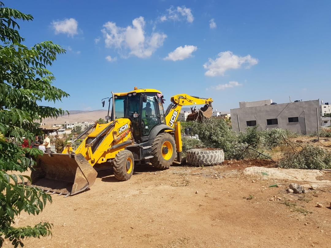 الاحتلال يمسح أرضًا ويقتلع عشرات أشتال الزيتون غرب بيت لحم
